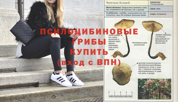 Альфа ПВП Балабаново