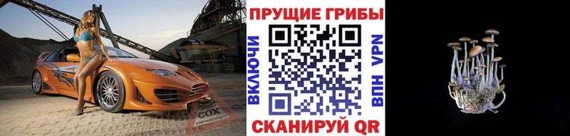 наркошоп  Кологрив  Псилоцибиновые грибы прущие грибы 